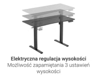 Silver Monkey Biurko elektryczne ED-160 black - 1258047 - zdjęcie 5